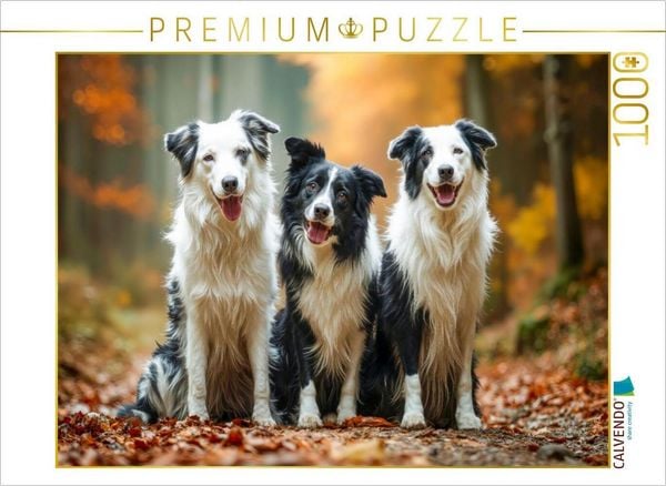 Produktbild: CALVENDO Puzzle Gruppenfoto im Wald | 1000 Teile Lege-Gr&ouml;&szlig;e 64x48cm Foto-Puzzle f&uuml;r gl&uuml;ckliche Stunden
