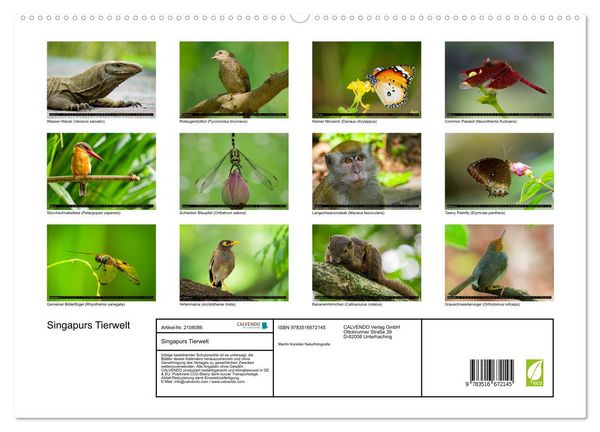Produktbild: Singapurs Tierwelt (hochwertiger Premium Wandkalender 2026 DIN A2 quer), Kunstdruck in Hochglanz