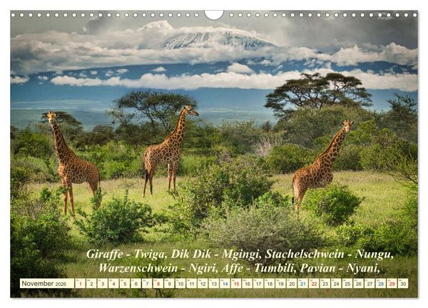 Produktbild: Jambo Kenya (Wandkalender 2026 DIN A3 quer), CALVENDO Monatskalender