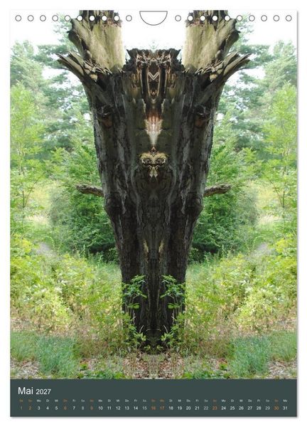Produktbild: Spiegelwelten - Botschaften der Naturwesen (Wandkalender 2027 DIN A4 hoch), CALVENDO Monatskalender