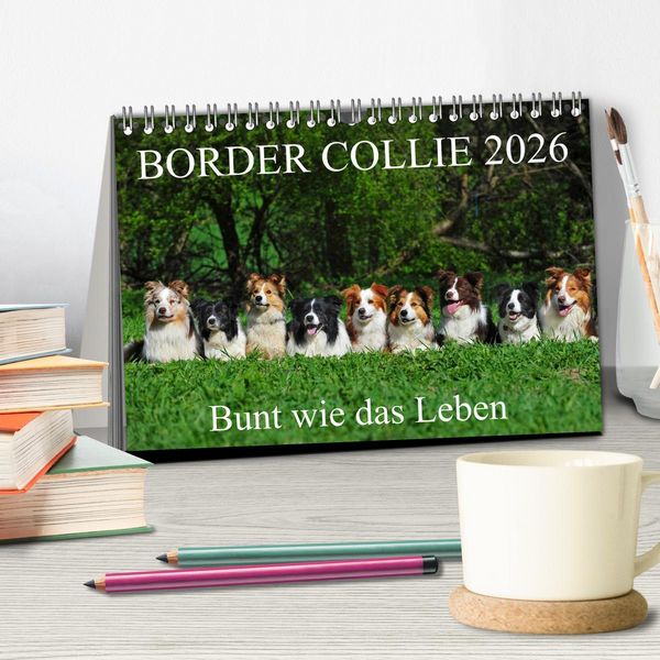Produktbild: Border Collie 2026 (Tischkalender 2026 DIN A5 quer), CALVENDO Monatskalender