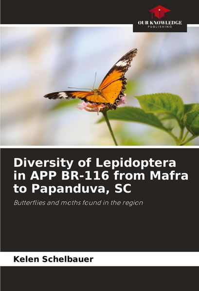 Produktbild: Diversity of Lepidoptera in APP BR-116 from Mafra to Papanduva, SC