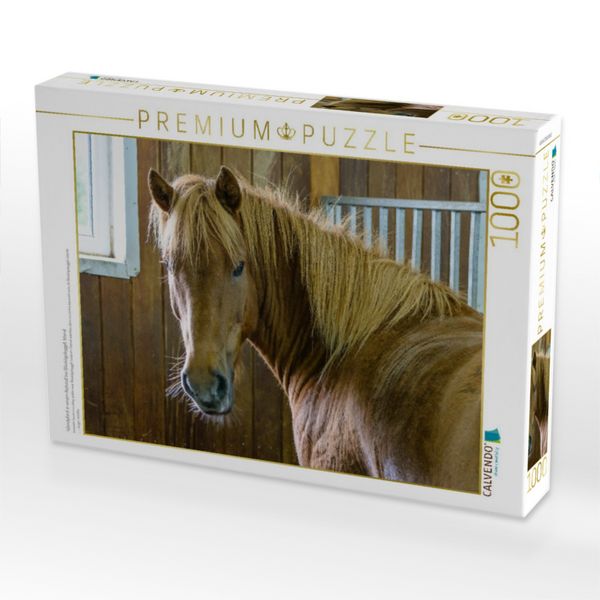 Produktbild: CALVENDO Puzzle Islandpferd in einem Reitstall bei Bl&aacute;sk&oacute;gabygg&eth;, Island | 1000 Teile Lege-Gr&ouml;&szlig;e 64x48cm Foto-Puzzle f&uuml;r gl&uuml;ckliche Stunden