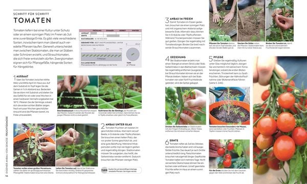 Produktbild: Kleiner Garten - gro&szlig;e Ernte