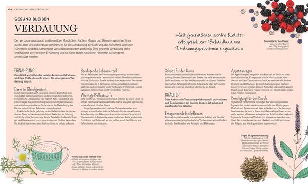 Produktbild: Die gr&uuml;ne Hausapotheke