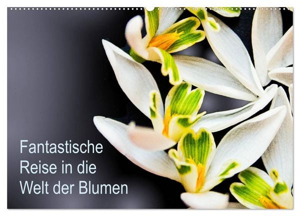 Produktbild: Fantastische Reise in die Welt der Blumen (Wandkalender 2026 DIN A2 quer), CALVENDO Monatskalender