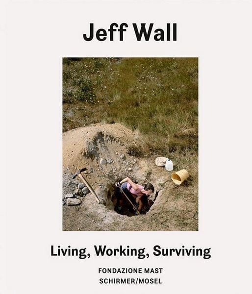Produktbild: Living, Working, Surviving