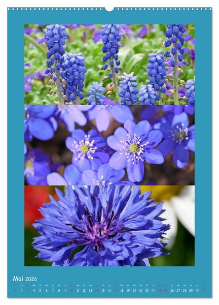 Produktbild: Natur im Farbenrausch (hochwertiger Premium Wandkalender 2026 DIN A2 hoch), Kunstdruck in Hochglanz