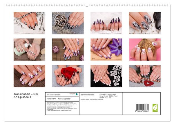 Produktbild: Transient Art &ndash; Nail Art Episode 1 (High Quality Premium Wall Calendar 2026 DIN A2 landscape),CALVENDO 12 Month Wall Calendar