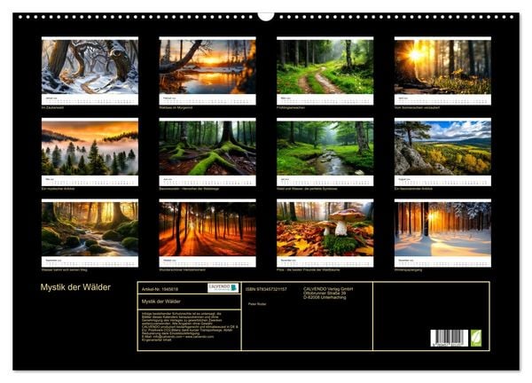 Produktbild: Mystik der W&auml;lder (Wandkalender 2026 DIN A2 quer), CALVENDO Monatskalender