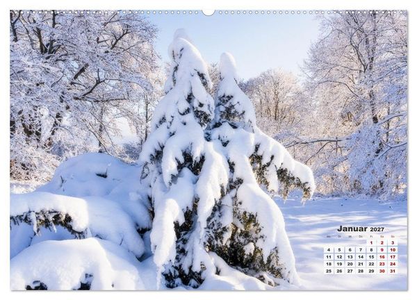 Produktbild: Waldspazierg&auml;nge: Entspannen - Kraft tanken - Besinnen auf sich selbst (Wandkalender 2027 DIN A2 quer), CALVENDO Monatskalender
