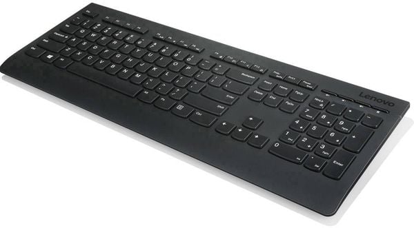 Lenovo Professional USB Tastatur Deutsch, QWERTZ Schwarz