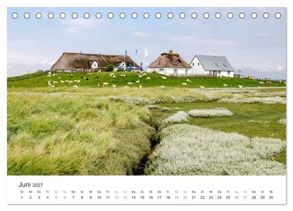 Produktbild: Hamburger Hallig - Der Weg ist das Ziel (Tischkalender 2027 DIN A5 quer), CALVENDO Monatskalender