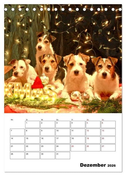 Produktbild: Tender Fellows - Parson Russell Terrier (Tischkalender 2026 DIN A5 hoch), CALVENDO Monatskalender
