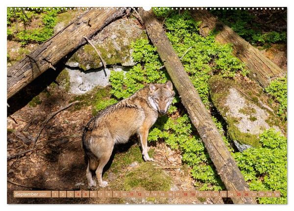 Produktbild: Zauber des B&ouml;hmerwalds. Stille Sch&ouml;nheit im Westen Tschechiens (hochwertiger Premium Wandkalender 2027 DIN A2 quer), Kunstdruck in Hochglanz