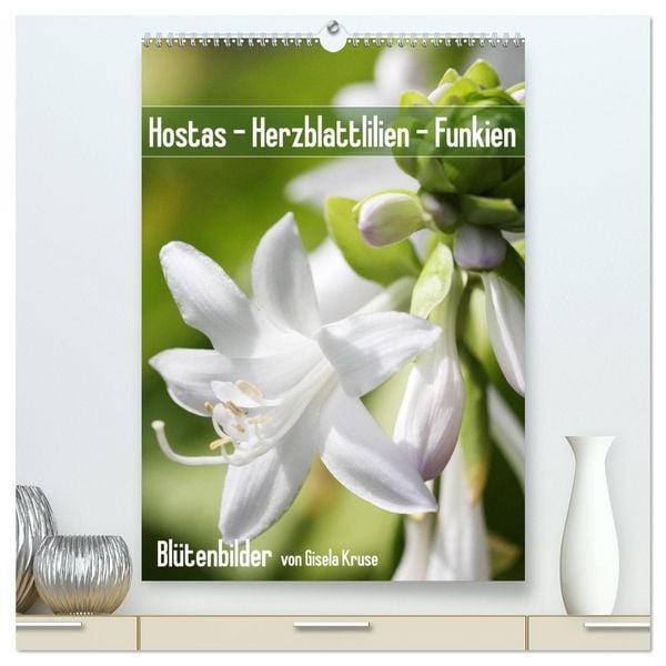 Hostas Herzblattlilien Funkien (hochwertiger Premium Wandkalender 2026 DIN A2 hoch), Kunstdruck in Hochglanz