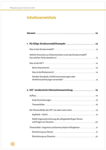 Produktbild: Pflegeplanung im Strukturmodell