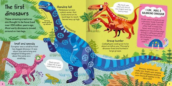 Produktbild: First Dinosaur Book