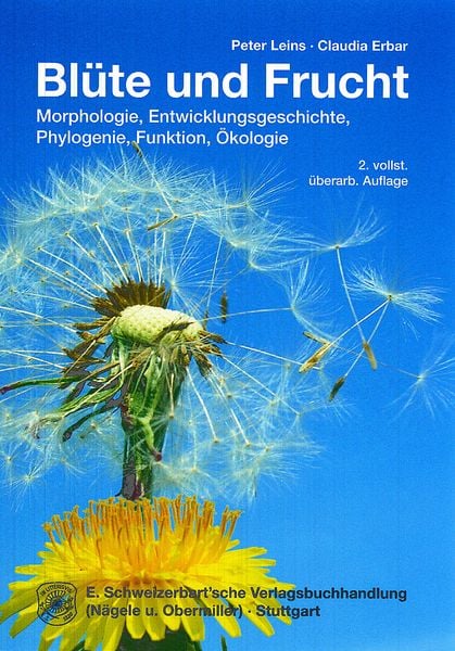 Produktbild: Bl&uuml;te und Frucht