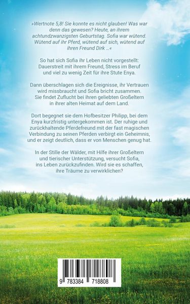 Produktbild: Enya - Weg zur Geborgenheit
