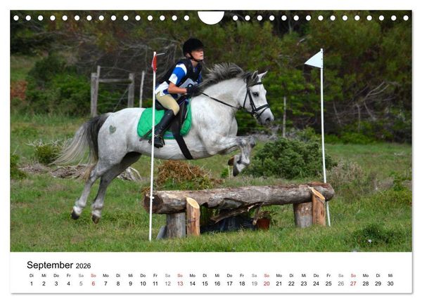 Produktbild: Eventing - Der ultimative Reitsport (Wandkalender 2026 DIN A4 quer), CALVENDO Monatskalender