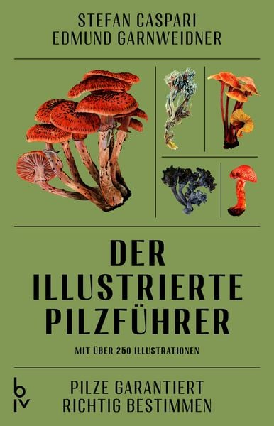 Produktbild: Der illustrierte Pilzf&uuml;hrer