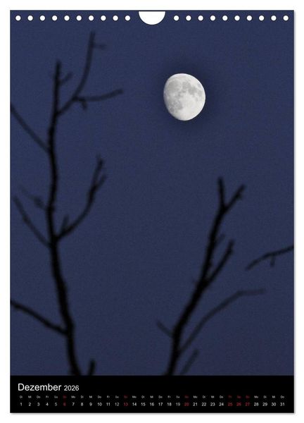 Produktbild: Wunderbarer Spreewald (Wandkalender 2026 DIN A4 hoch), CALVENDO Monatskalender