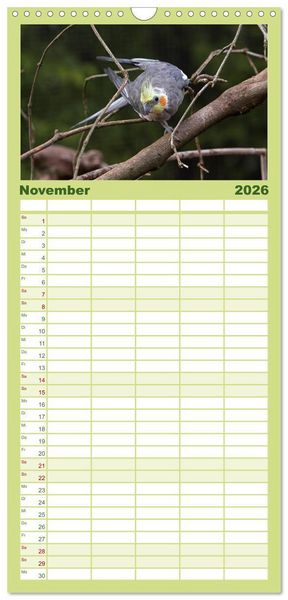 Produktbild: Familienplaner 2026 - Nymphensittiche mit 5 Spalten (Wandkalender, 21 x 45 cm) CALVENDO