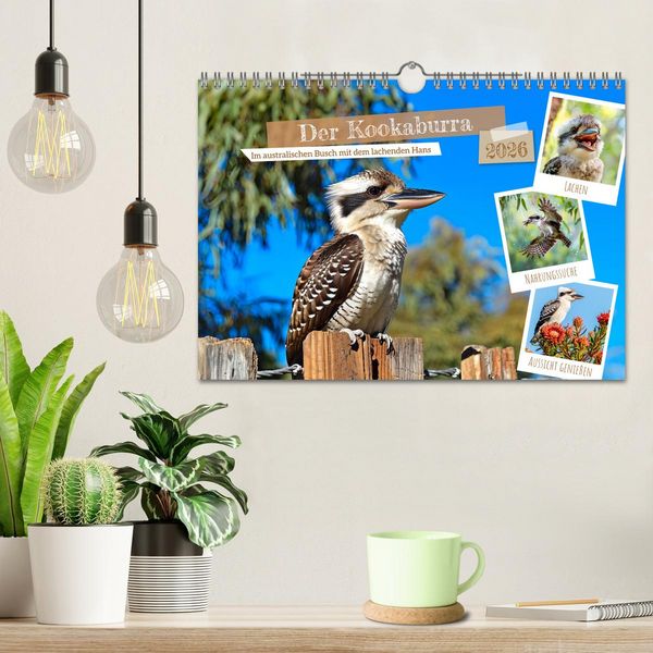 Produktbild: Der Kookaburra - Im australischen Busch mit dem lachenden Hans (Wandkalender 2026 DIN A4 quer), CALVENDO Monatskalender