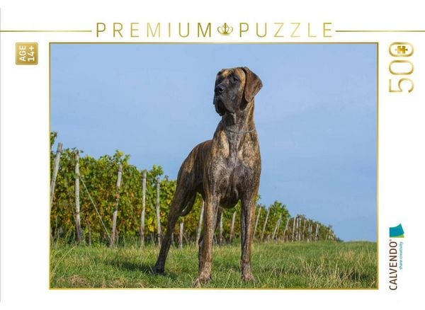 CALVENDO Puzzle Ein Motiv aus dem Kalender Deutsche Dogge 2017 | 500 Teile Lege-Größe 48 × 36 cm Foto-Puzzle für Erwachsene