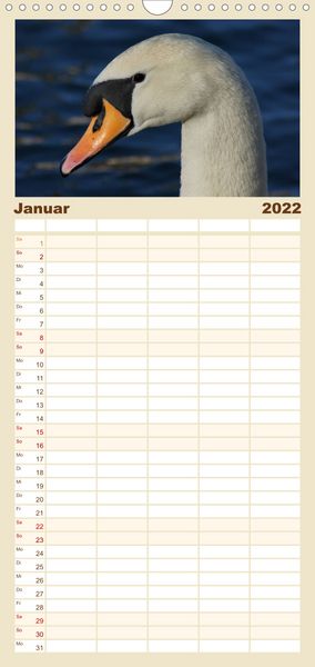 Produktbild: Das faszinierende Leben der Schw&auml;ne - Familienplaner hoch (Wandkalender 2022 , 21 cm x 45 cm, hoch)