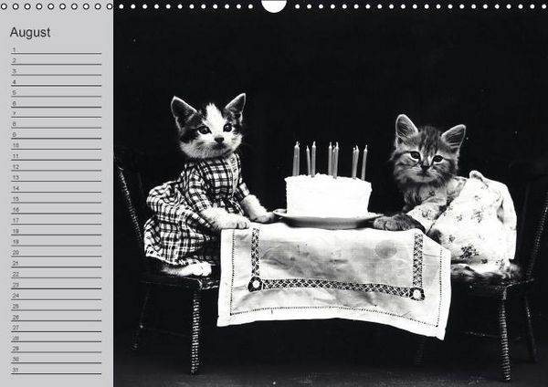 Produktbild: Katzen und Hunde - Nostalgie auf Pfoten (Wandkalender immerw&auml;hrend DIN A3 quer)
