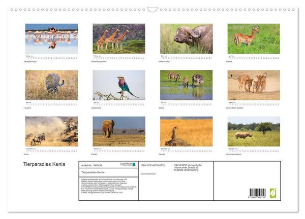 Produktbild: Tierparadies Kenia (Wandkalender 2026 DIN A2 quer), CALVENDO Monatskalender