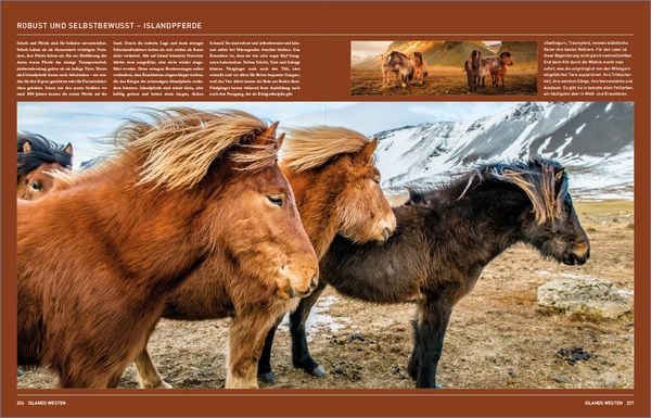 Produktbild: KUNTH Island. Das Buch
