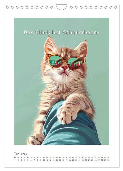 Produktbild: Katzenweisheiten (Wandkalender 2026 DIN A4 hoch), CALVENDO Monatskalender