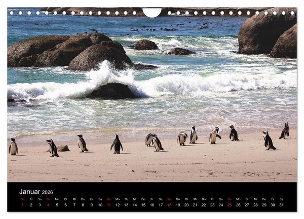 Produktbild: Abenteuer Afrika (Wandkalender 2026 DIN A4 quer), CALVENDO Monatskalender
