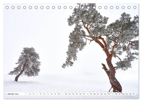 Produktbild: B&auml;ume im Altm&uuml;hltal (Tischkalender 2026 DIN A5 quer), CALVENDO Monatskalender