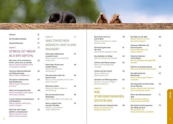 Produktbild: Stress beim Hund verstehen