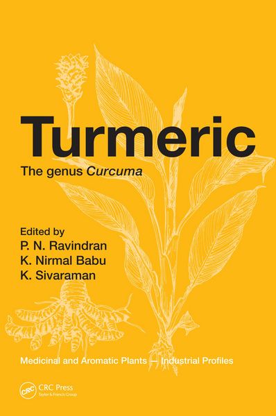 Produktbild: Turmeric