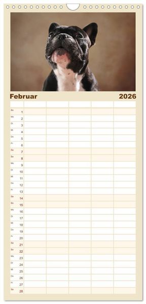 Produktbild: Familienplaner 2026 - Charme auf vier Pfoten - Franz&ouml;sische Bulldoggen Portraits mit 5 Spalten (Wandkalender, 21 x 45 cm) CALVENDO
