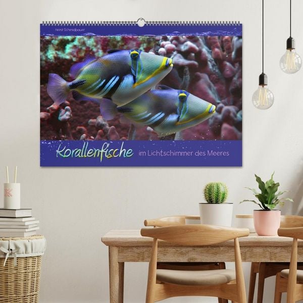 Produktbild: Korallenfische im Lichtschimmer des Meeres (Wandkalender 2027 DIN A2 quer), CALVENDO Monatskalender