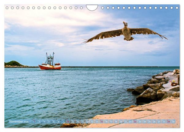 Produktbild: Florida &ndash; sunny beaches and mysterious swamps (Wall Calendar 2026 DIN A4 landscape), CALVENDO 12 Month Wall Calendar