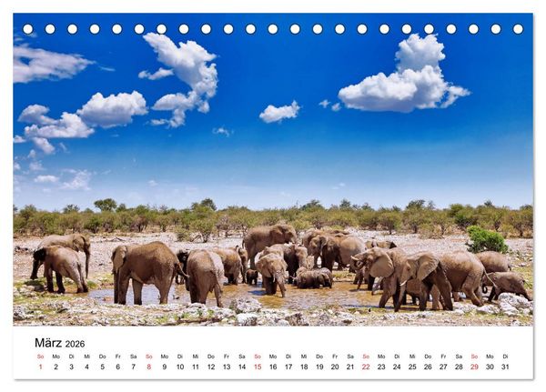 Produktbild: Namibias Elefanten (Tischkalender 2026 DIN A5 quer), CALVENDO Monatskalender