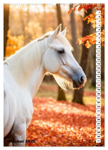 Produktbild: Pferdekalender - Wundersch&ouml;ne Pferde in Natur und Portraits (hochwertiger Premium Wandkalender 2026 DIN A2 hoch), Kunstdruck in Hochglanz