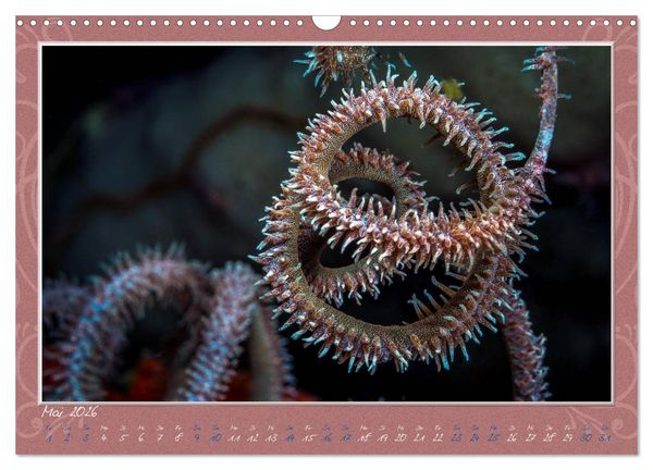Produktbild: Unterwasser Kunstwerke (Wandkalender 2026 DIN A3 quer), CALVENDO Monatskalender