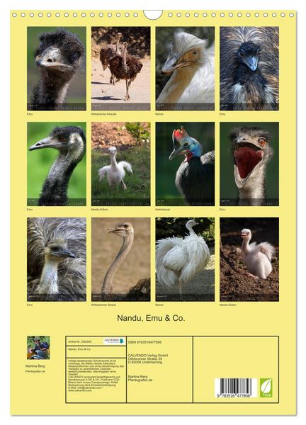Produktbild: Nandu, Emu & Co. (Wandkalender 2026 DIN A3 hoch), CALVENDO Monatskalender