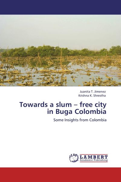 Produktbild: Towards a slum - free city in Buga Colombia