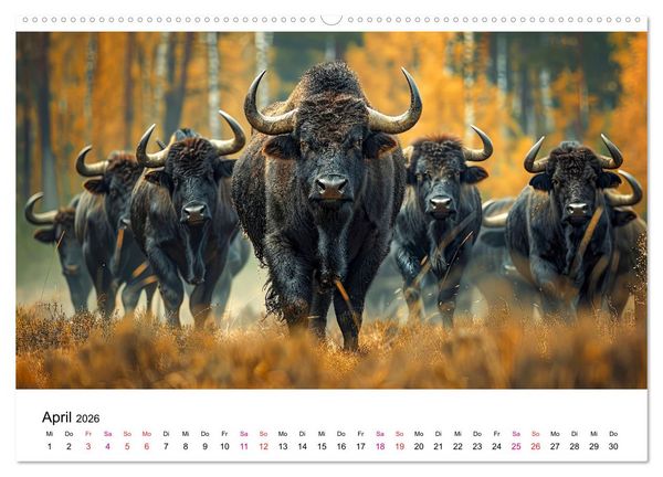 Produktbild: Reise in die Urzeit (Wandkalender 2026 DIN A2 quer), CALVENDO Monatskalender