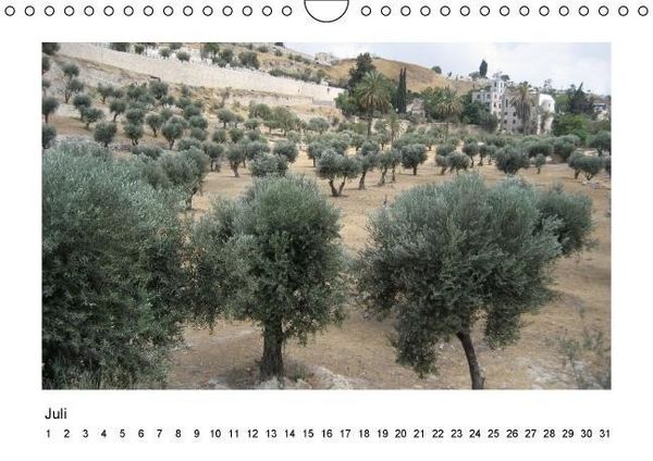 Produktbild: ISRAEL (Wandkalender immerw&auml;hrend DIN A4 quer)