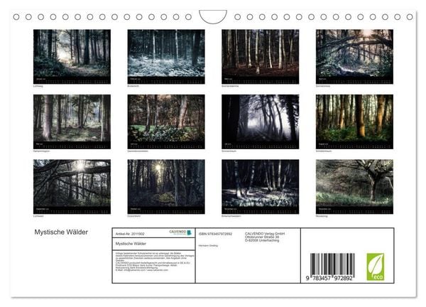 Produktbild: Mystische W&auml;lder (Wandkalender 2026 DIN A4 quer), CALVENDO Monatskalender